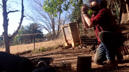 chicken and char cloth