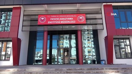 10 renkte cipslik yerli patates üretildi