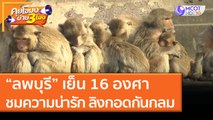 “ลพบุรี” เย็น 16 องศา ชมความน่ารัก ลิงกอดกันกลม (12 ม.ค. 64) คุยโขมงบ่าย 3 โมง | 9 MCOT HD