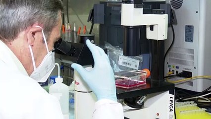 AstraZeneca y Oxford piden autorización para vender su vacuna en la UE