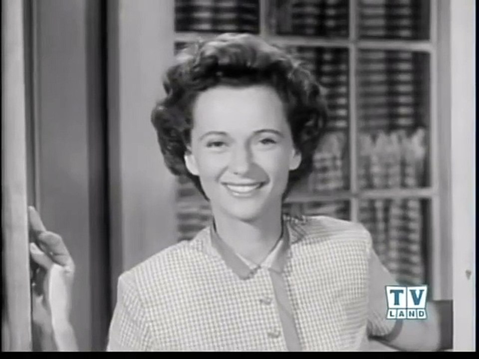 LASSIE - THE DOG HOUSE