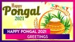 Happy Pongal 2021 Greetings, Messages, Quotes and Images to Celebrate Tamil Nadu\'s Harvest Festival