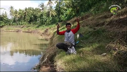 Cara Mancing Pake Bulu Ayam