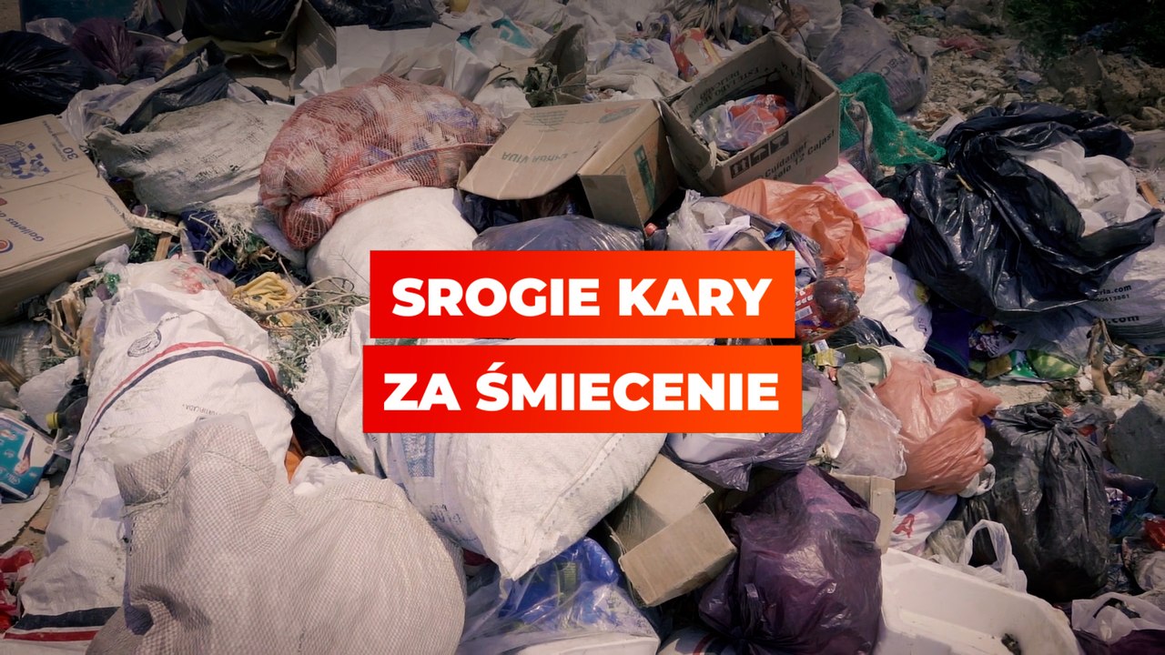Srogie kary za śmiecenie