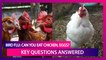 Bird Flu: Is It Safe To Eat Chicken, Eggs? Do Humans Get Infected With Avian Influenza? Key Questions Answered