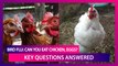 Bird Flu: Is It Safe To Eat Chicken, Eggs? Do Humans Get Infected With Avian Influenza? Key Questions Answered