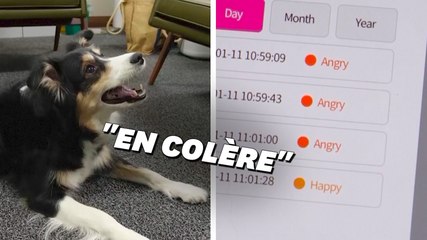 Cette start-up prétend pouvoir traduire les aboiements de votre chien en émotion