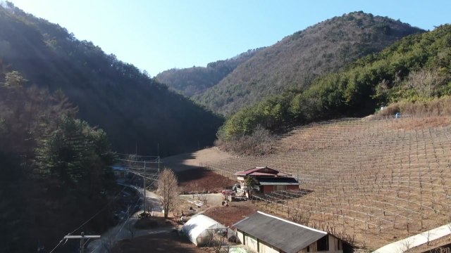 영동 건조경보에 산간 강풍 예보...'산불' 비상 / YTN