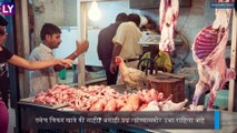 Rajesh Tope On Bird Flu: चिकन खाल्ल्याने बर्ड फ्ल्यू होतो? पाहा काय म्हणाले आरोग्य मंत्री राजेश टोपे