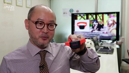 This High-Tech Dog Collar Can Translate Your Pet’s Barks