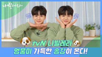 멍뭉미를 의인화하면 송강♥ tvN 나빌레라에서 곧 만나요!