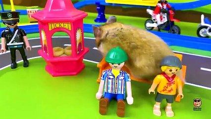 Naughty hamster attacks a biker - funny video with cute little pet