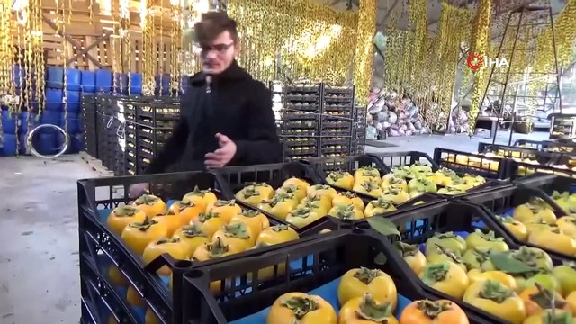 Dalında Tanesi 1 Liradan Satıldı, Çiftçiye 6 Bin Fidanı Dağıtıldı