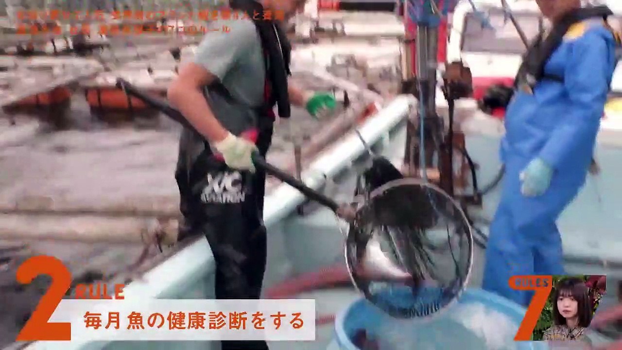 セブンルール 2021年1月12日 玄界灘で母娘5人で育てるブランド鯛への思い