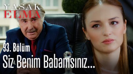 Siz benim babamsınız -  Yasak Elma 93. Bölüm
