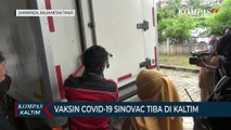 Vaksin Covid-19 Sinovac Tiba Di Kaltim