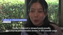 Thailand hospital restaurant serves up cannabis leaves in dishes