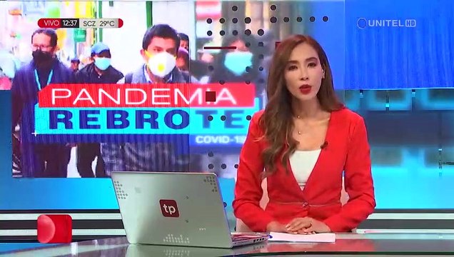 Decreto supremo regula el teletrabajo y el horario laboral