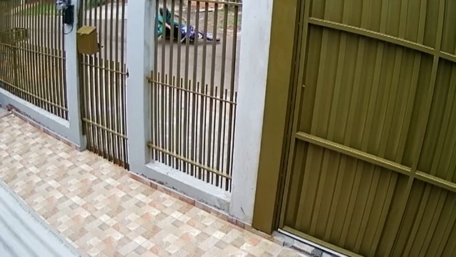 Vídeo: Ao atropelar cachorro, motociclista sofre queda no Bairro Cascavel Velho