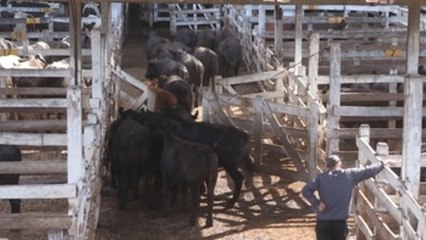 Consumo de carne vacuna de los argentinos cae a mínimo histórico