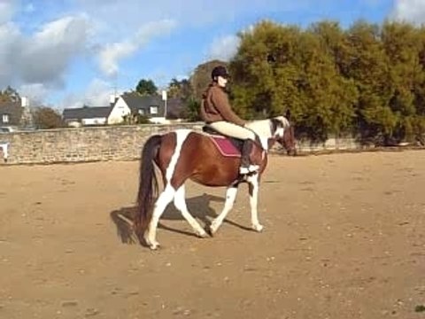 Moi et chanel sur la plage !!