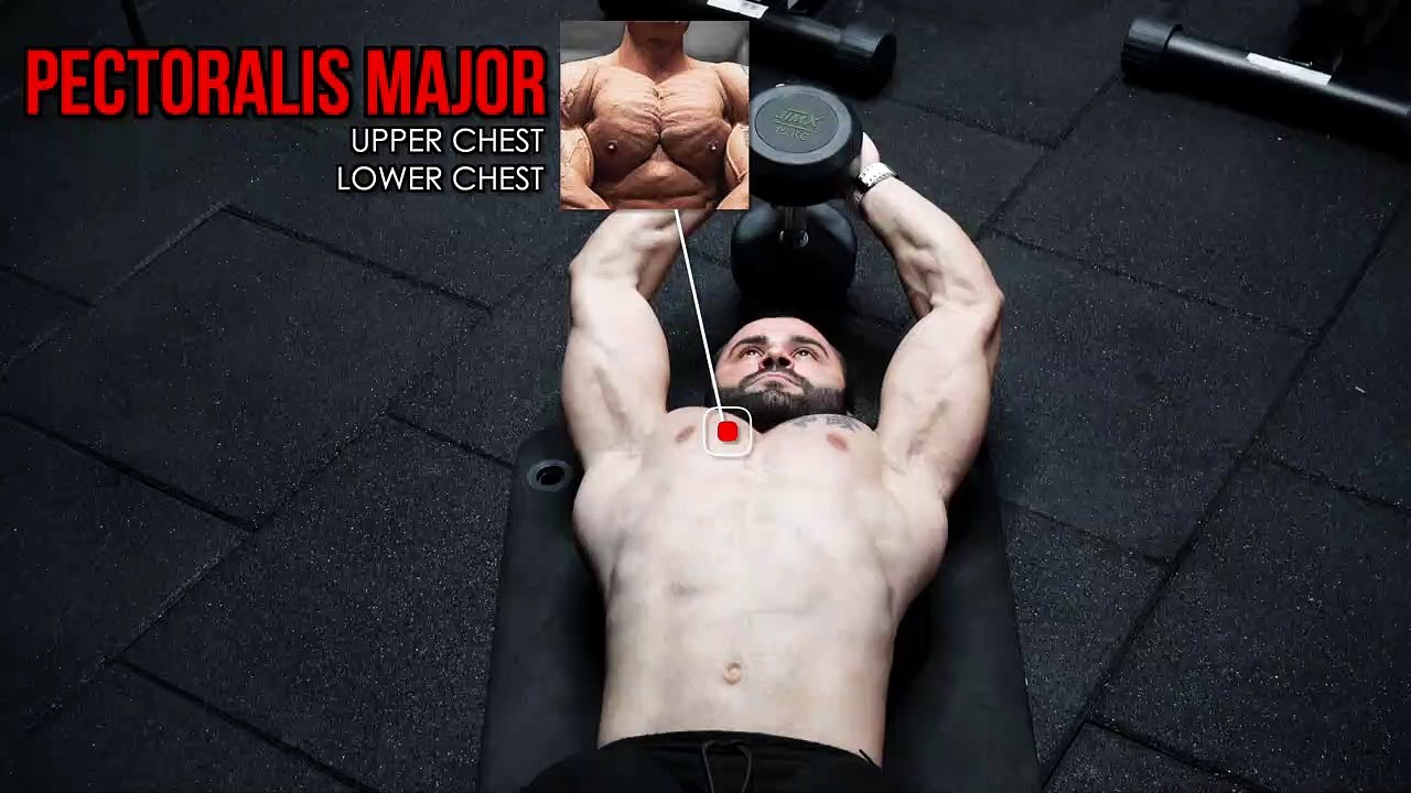 Floor Dumbbell Pullover