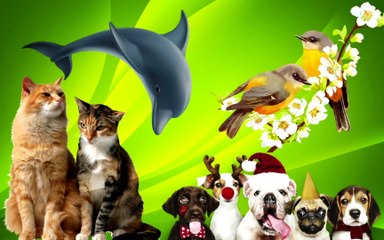 Try Not To Laugh Watching Funny Animals Compilation 2021