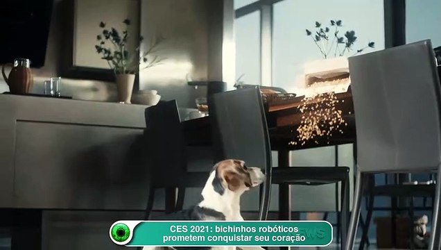 CES 2021: bichinhos robóticos prometem conquistar seu coração