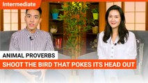 Animal Proverbs: Shoot the Bird That Pokes Its Head Out | Intermediate Lesson | ChinesePod (v)