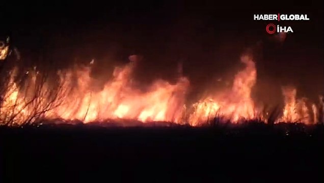 Türkiye'nin en büyük ikinci milli parkı olan Beyşehir Gölü Milli Parkı'nda yangın