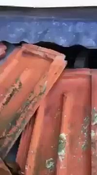 Pest inspection, where to check pests at home