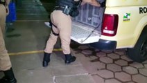 Dupla é detida pela Rotam com drogas e munições em Santa Tereza do Oeste