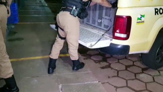 Dupla é detida pela Rotam com drogas e munições em Santa Tereza do Oeste