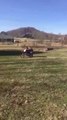Guy Crashes Into Moving Dirt Bike While Attempting to Jump Over it