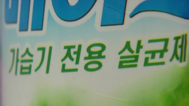 [더뉴스-더인터뷰] 가습기 살균제 1심 '무죄'... 내 몸이 증거 반발 / YTN