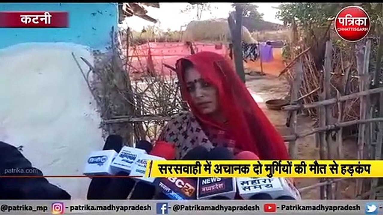 सरसवाही में अचानक दो मुर्गियों की मौत से हड़कंप