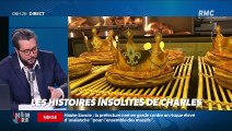 « Les 3 histoires de Charles Magnien » : Des galettes insolites et le Championnat du monde du cri de la mouette maintenu en ligne - 13/01