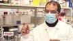 Coronavirus - Plus de 50.000 doses du vaccin Moderna sont arrivées en France - Mais comment fonctionne ce vaccin ? Reportage aux USA, au coeur de la société qui le fabrique