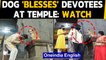 Dog swami gives blessings to the devotees at a temple in Maharashtra | Oneindia News