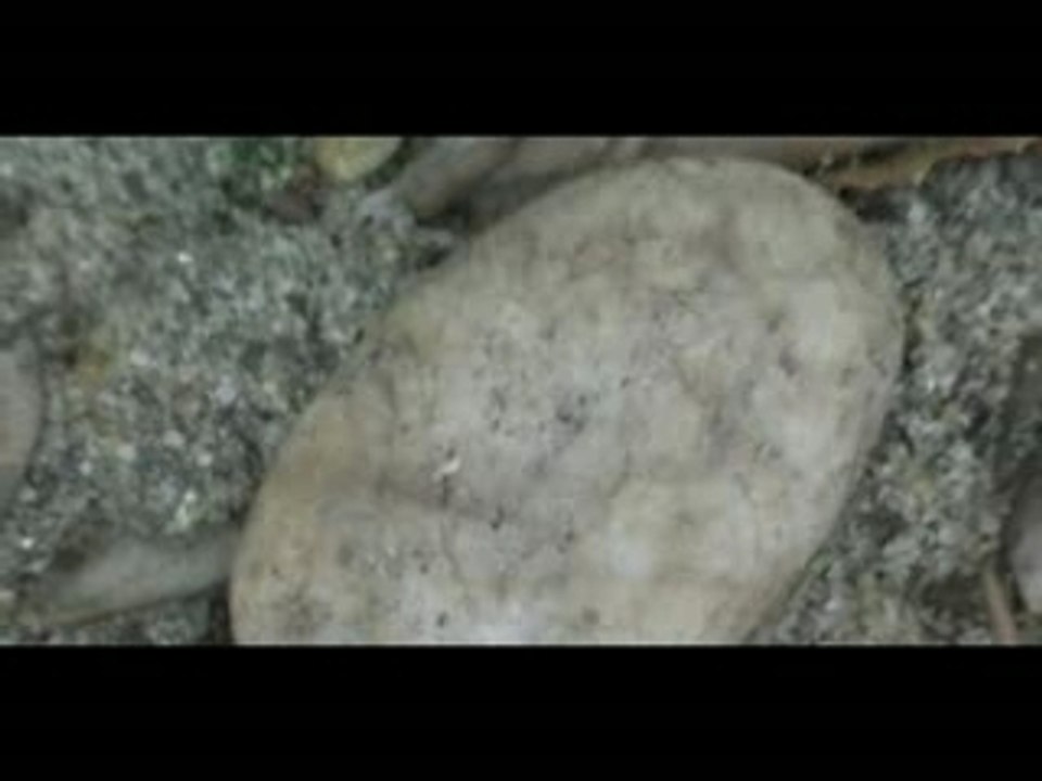 La vie d'un Galet II