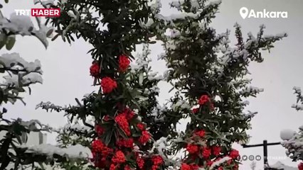 Ankara'da kar yağışı etkili oluyor