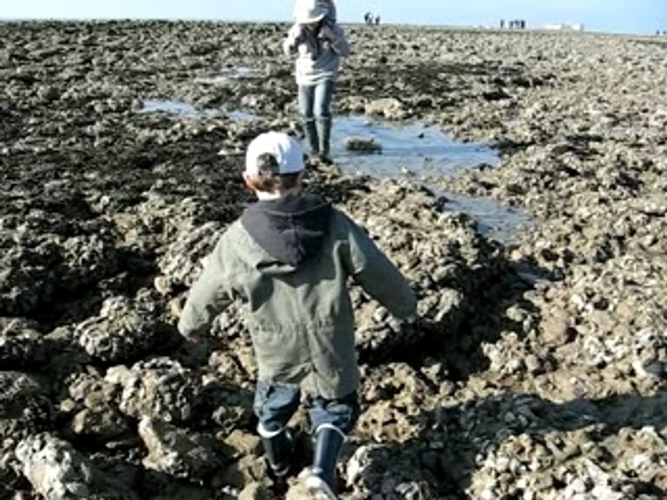peche a fouras