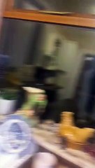 June Lowe was out visiting family on January 3 when thieves struck at the bungalow she’d bought with her late husband David