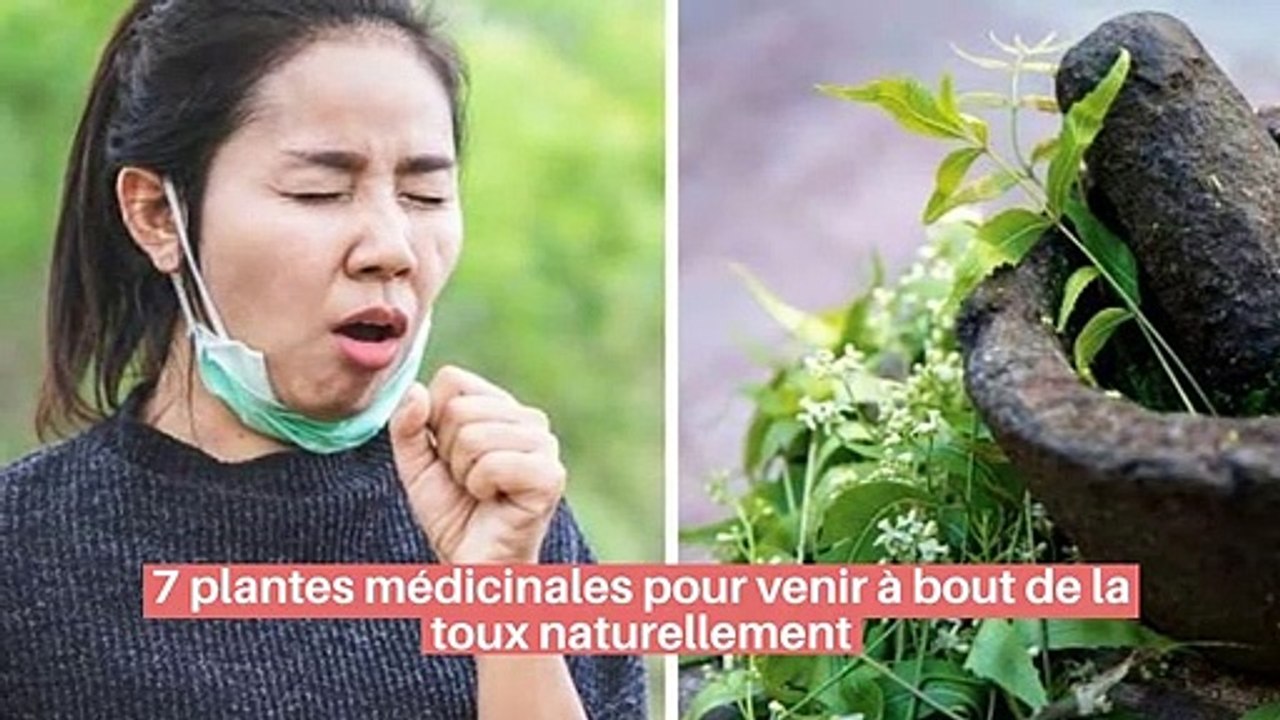 7 plantes médicinales pour venir à bout de la t...