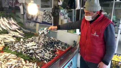 Hamsiye Rağbet Düştü, Barbun ve Mezgit Satışı Yükseldi