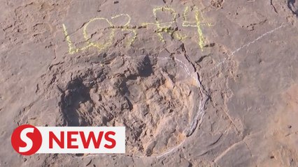 Large number of dinosaur footprints discovered in east China