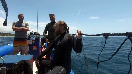 Filets anti-requins: des "mailles de la mort" pour protéger les Sud-Africains