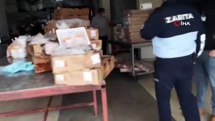 Bodrum’da 700 kg tarihi geçmiş et ele geçirildi