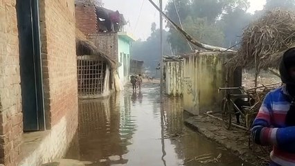 नहर कटने से करीब एक दर्जन घरों में भरा पानी, फसलें हुई बर्बाद