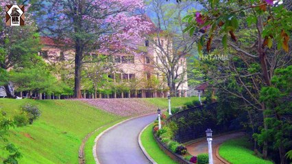 இலங்கையின் பல பகுதிகளில் தோண்ட தோண்ட தங்கச் சுரங்கங்கள்!